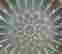 item-130781649=3