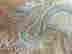 item-130781811=5
