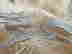 item-130781811=6