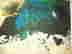 item-130781829=3