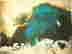 item-130781829=6
