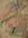 item-130781831=6