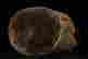 item-130781880=9