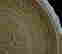item-130781932=5
