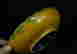 item-130782126=9
