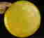 item-130782131=12