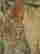 item-130782142=12