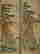 item-130782142=4