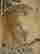 item-130782142=7