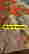 item-132500654=10