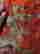 item-132500654=5