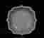 item-136630169=2