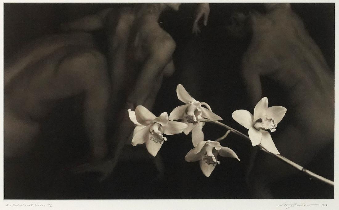 Tony Hauser 'Six Orchids with Nudes' Photograph (1 of 8)