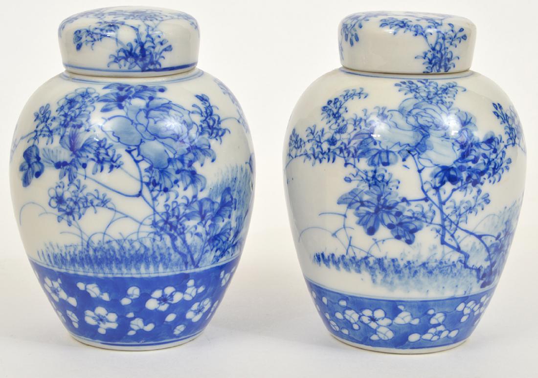 2 Chinese Lidded Ginger Jars Blue & White (1 of 11)
