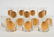 14 Rare Georges Briard Gold Doubloon Glasses - 2