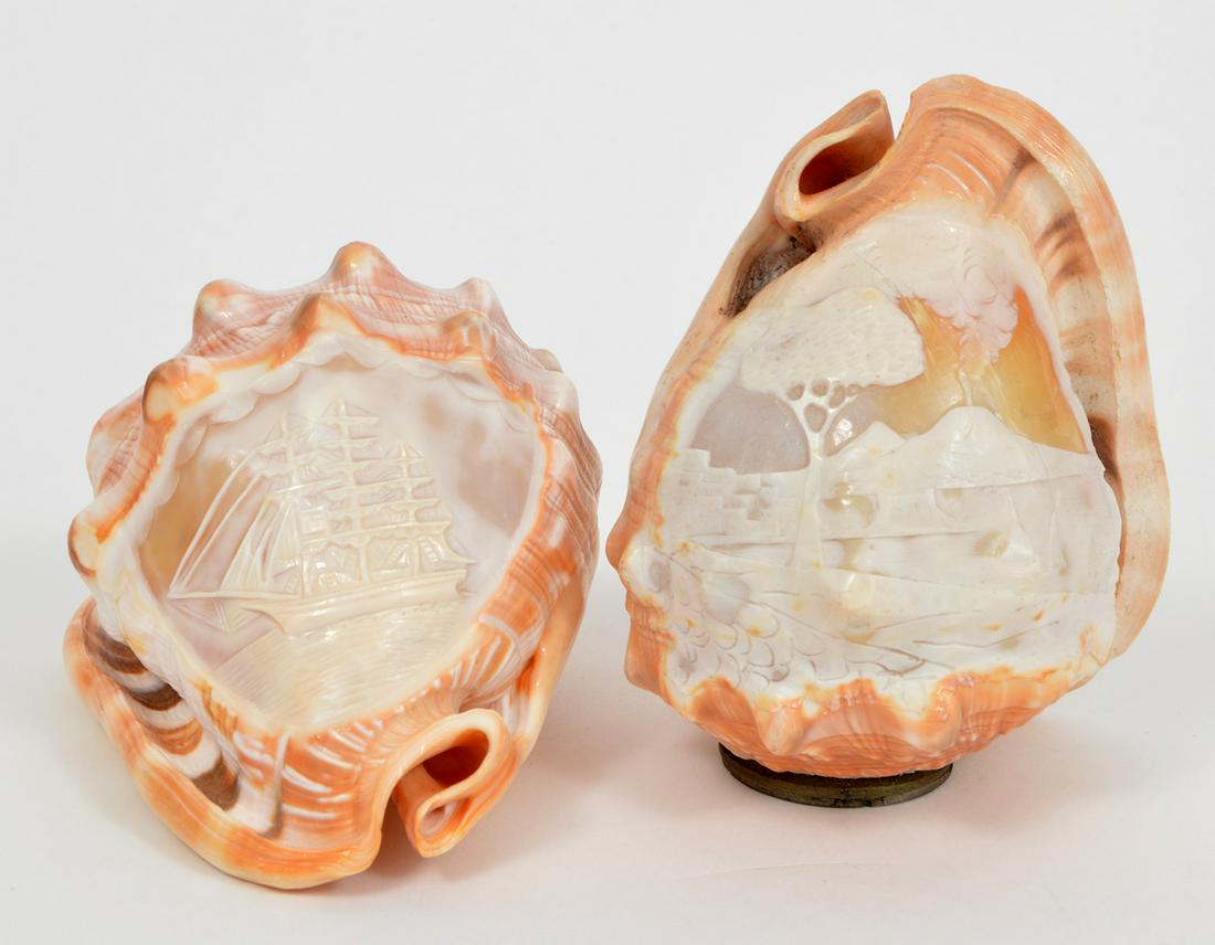 2 Carved Cameo Conch Shells (1 of 6)