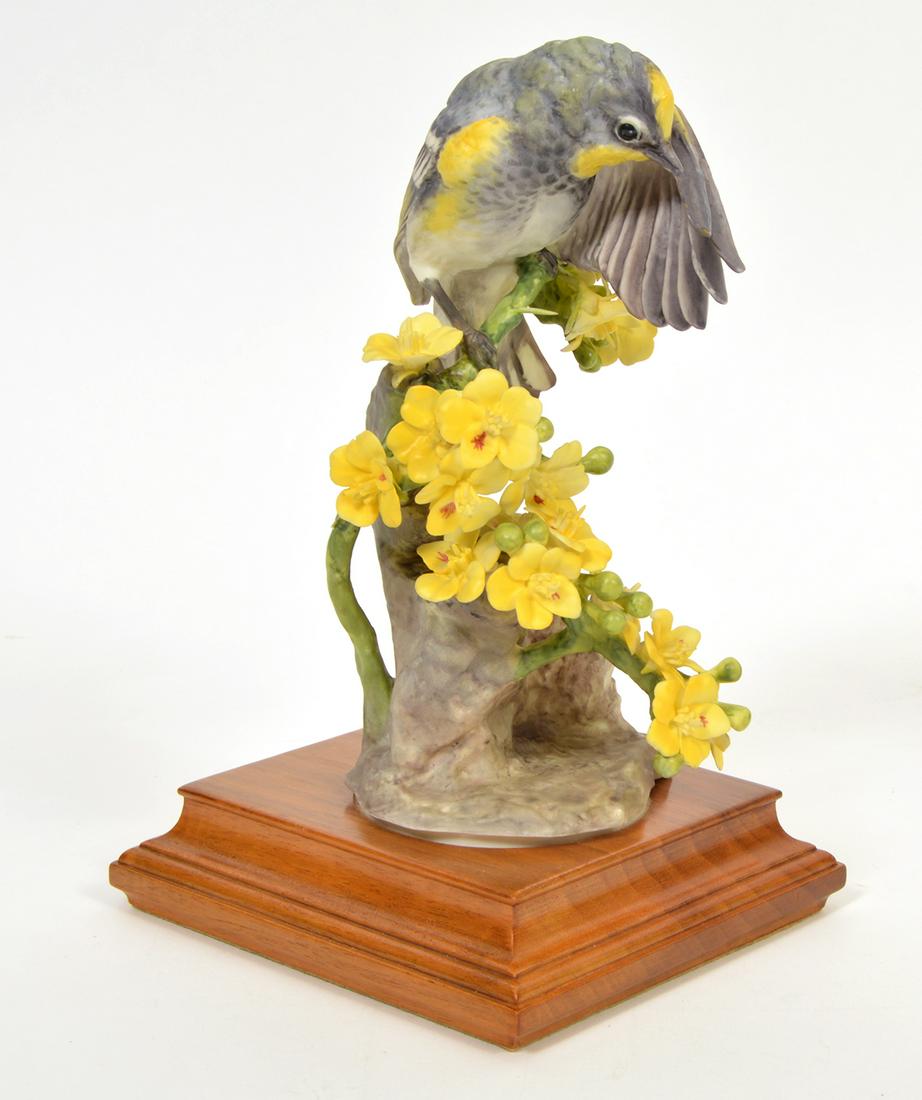 Royal Worcester 'Audubon Warbler... Palo Verdi' (1 of 5)