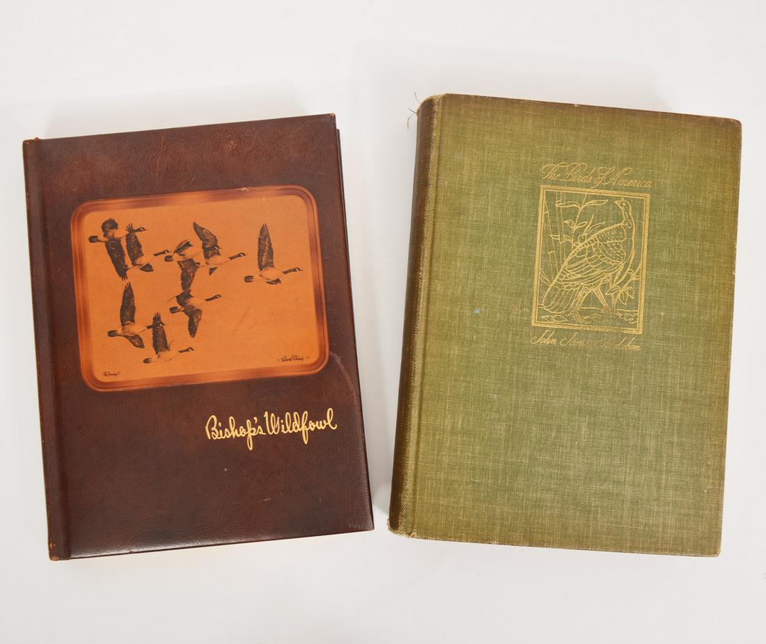 Two Illustrated Hardcover American Bird Books (1 of 13)