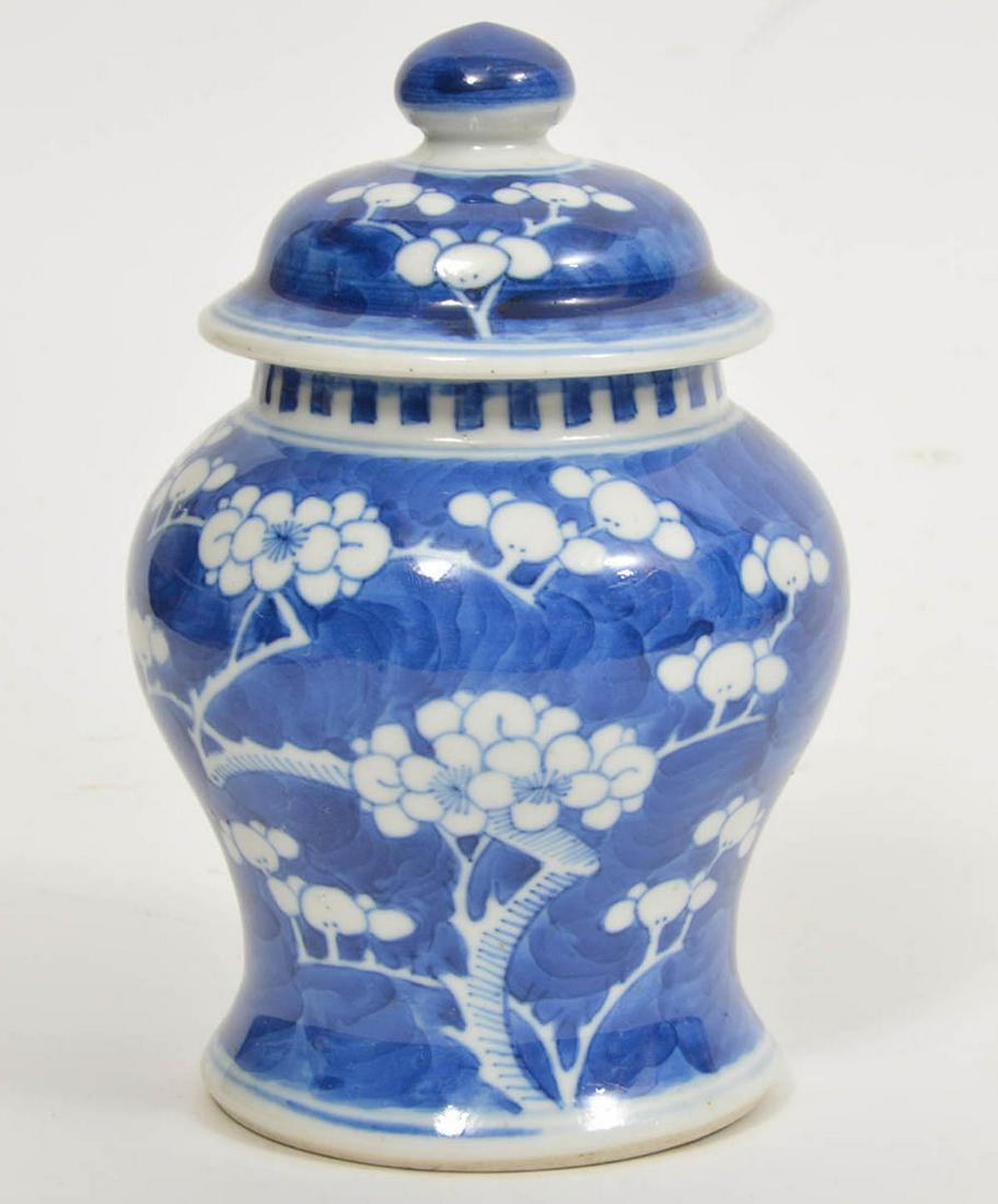 Chinese Porcelain Blue & White Lidded Jar (1 of 8)