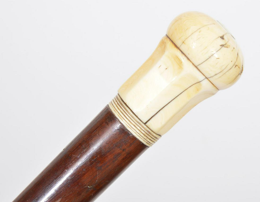 Dark Wood & Bone Handle and Tip Walking Stick Cane: Bone handled and tipped, dark wood shaft walking stick cane, 35.5" long. Condition report: Good condition, no issues, please examine all photos closely. Contact C. Biddle Auction Gallery for more deta