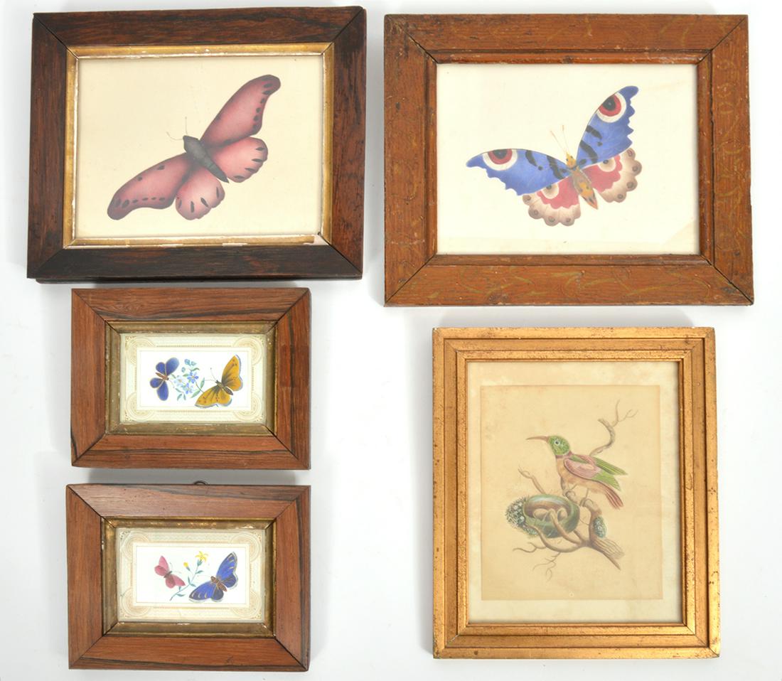 Lot of 5 Watercolors Of Hummingbird & Butterflies (1 of 9)