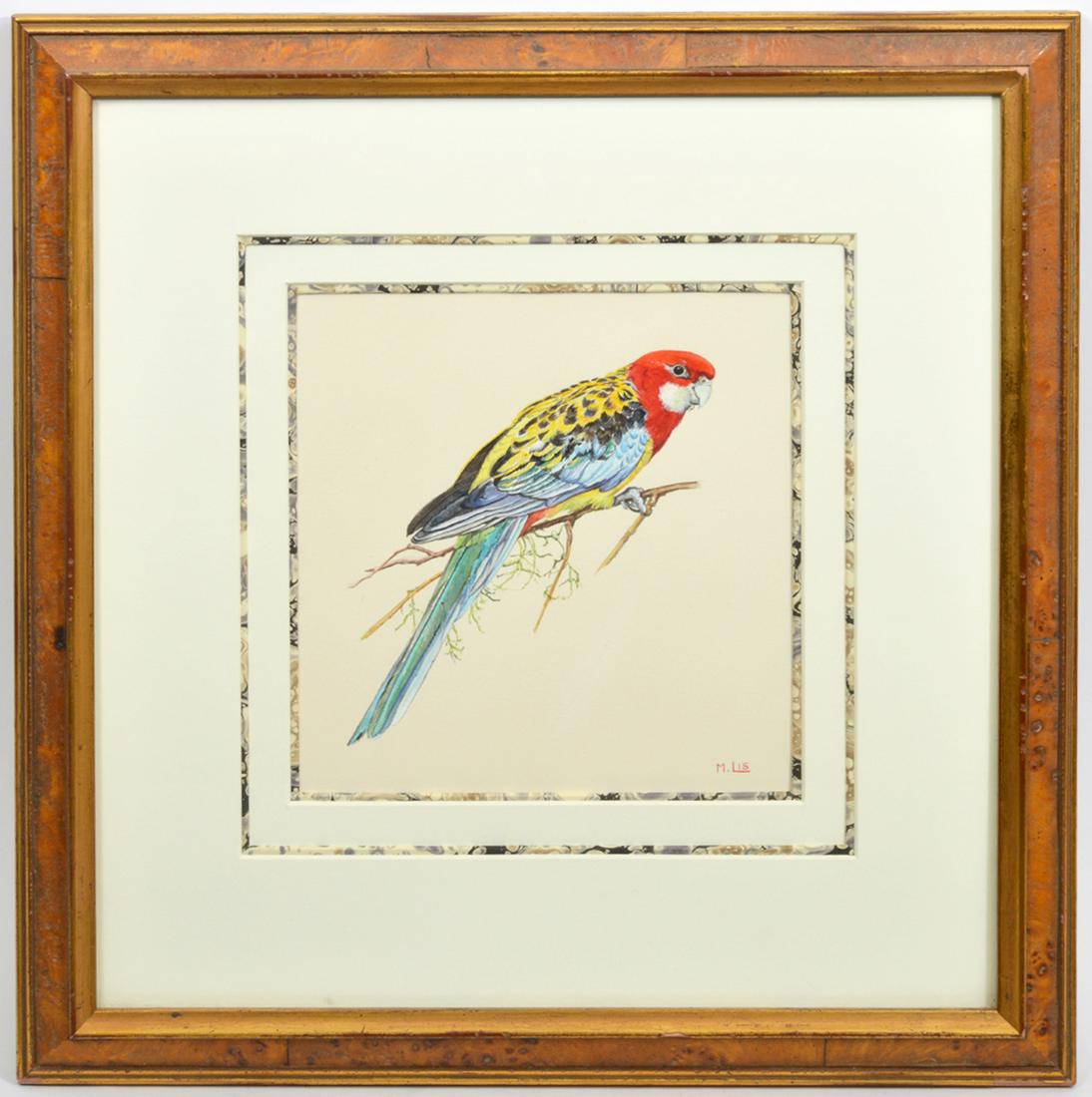 M. Lis Watercolor Illustration of Eastern Rosella (1 of 6)