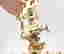 item-117899579=9