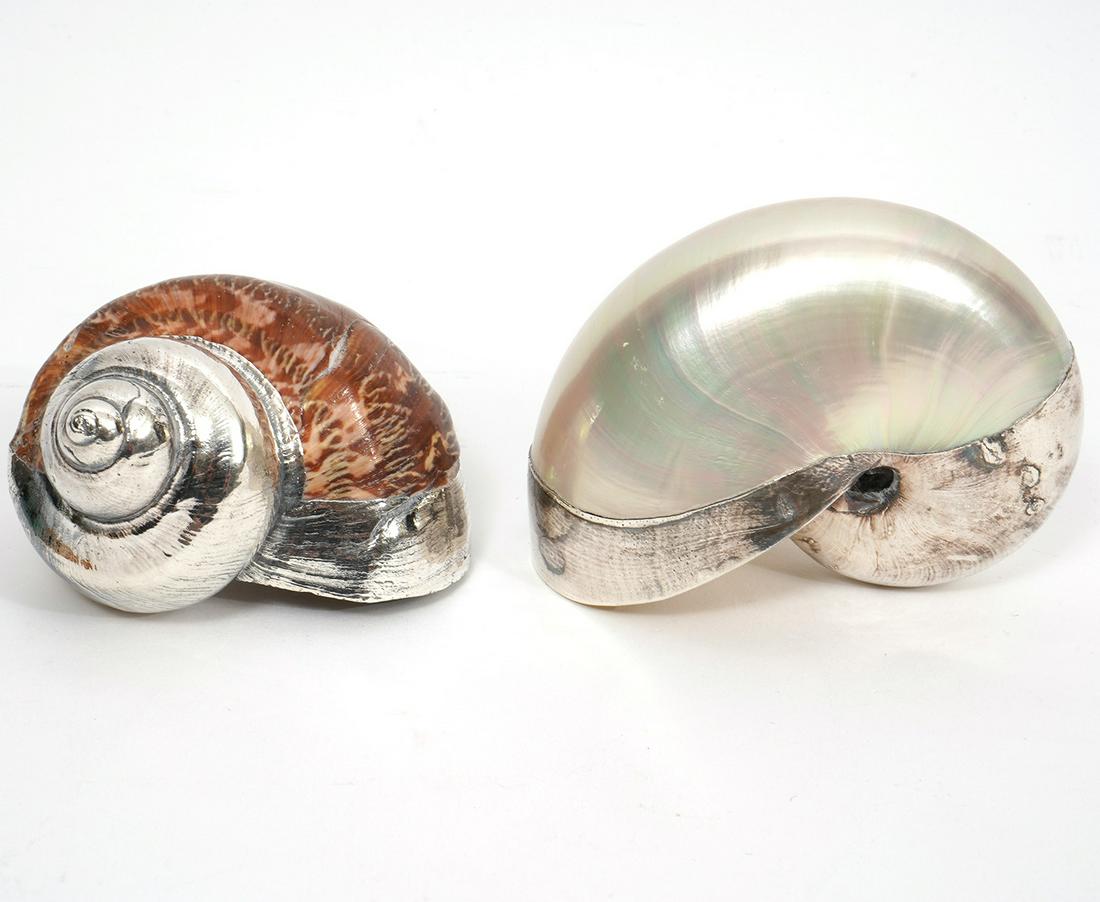 2 Ruzzetti & Gow Silvered Seashells with Labels (1 of 8)