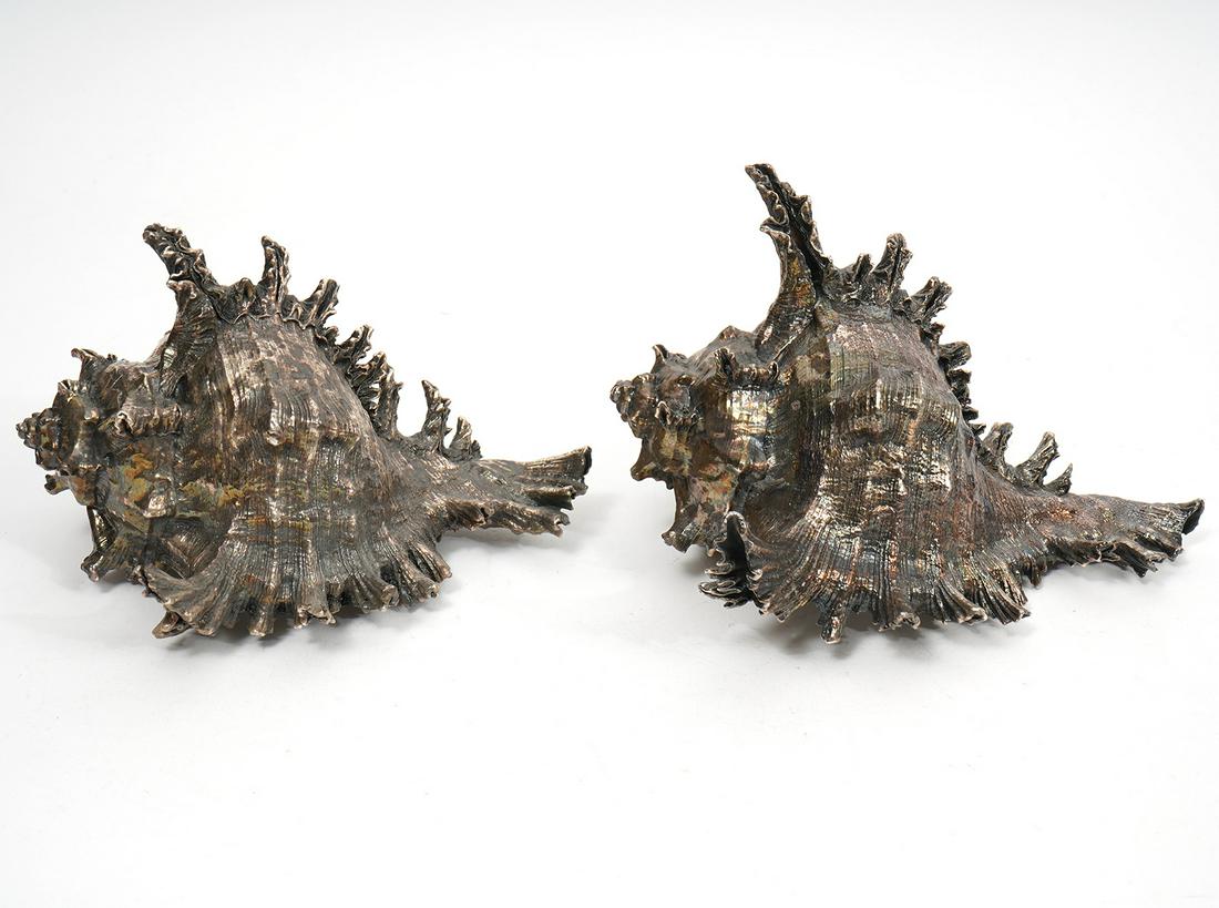 2 R&G Italian Silvered Spider Conch Shells (1 of 8)
