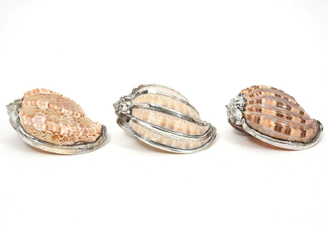 3 Silvered Seashells Style of Creel & Gow (1 of 5)