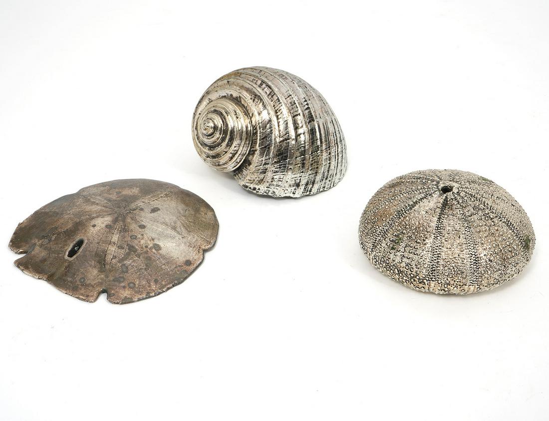 Fully Silvered Sand Dollar, Sea Urchin & Turbo (1 of 8)