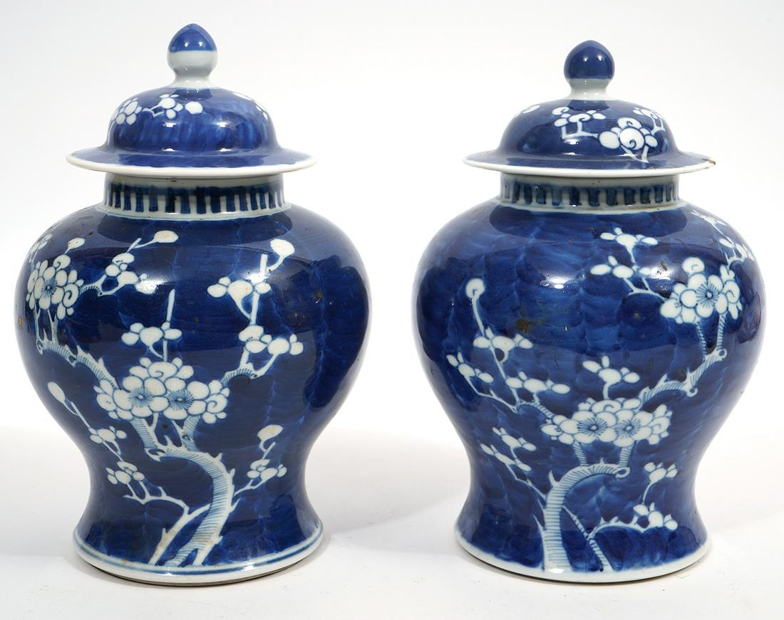 Pair of Chinese Porcelain Lidded Ginger Jars (1 of 10)