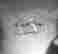 item-133871849=4