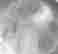 item-135824935=5