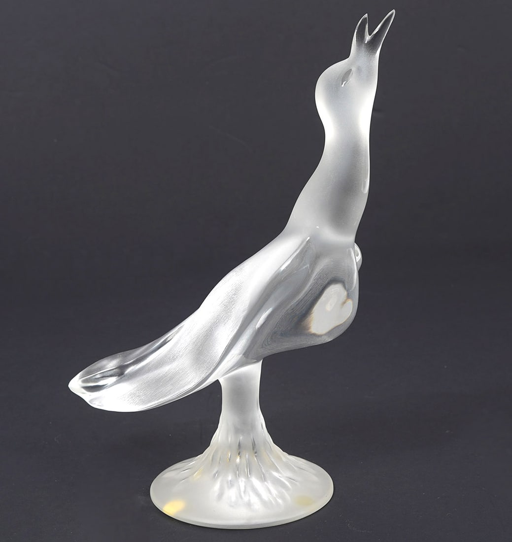 Lalique "Daphnis" Seagull Crystal Figure: Lalique "Daphnis" Seagull frosted crystal figure, signed at foot. Measures 9.25"H x 6.25"W. Condition report: Good condition, please examine all photos closely. Contact C. Biddle Auction Gallery for m