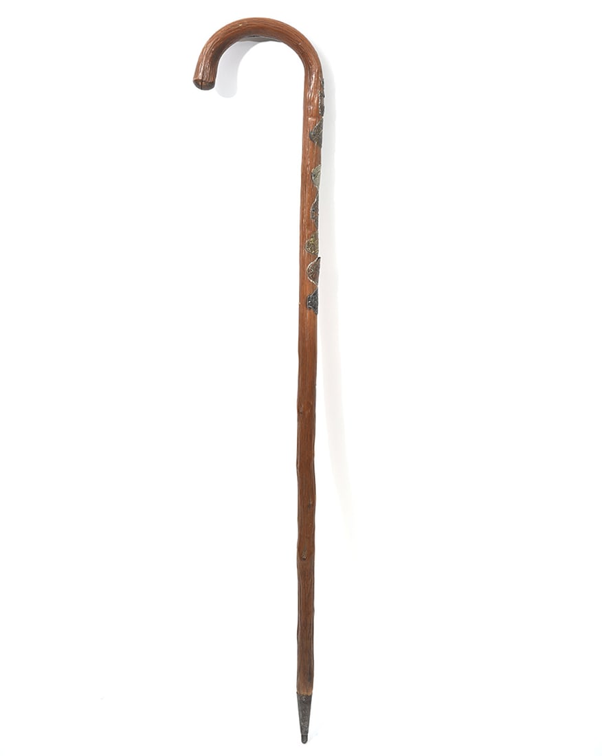 Carved Wood Cane with German Medallions (1 of 8)