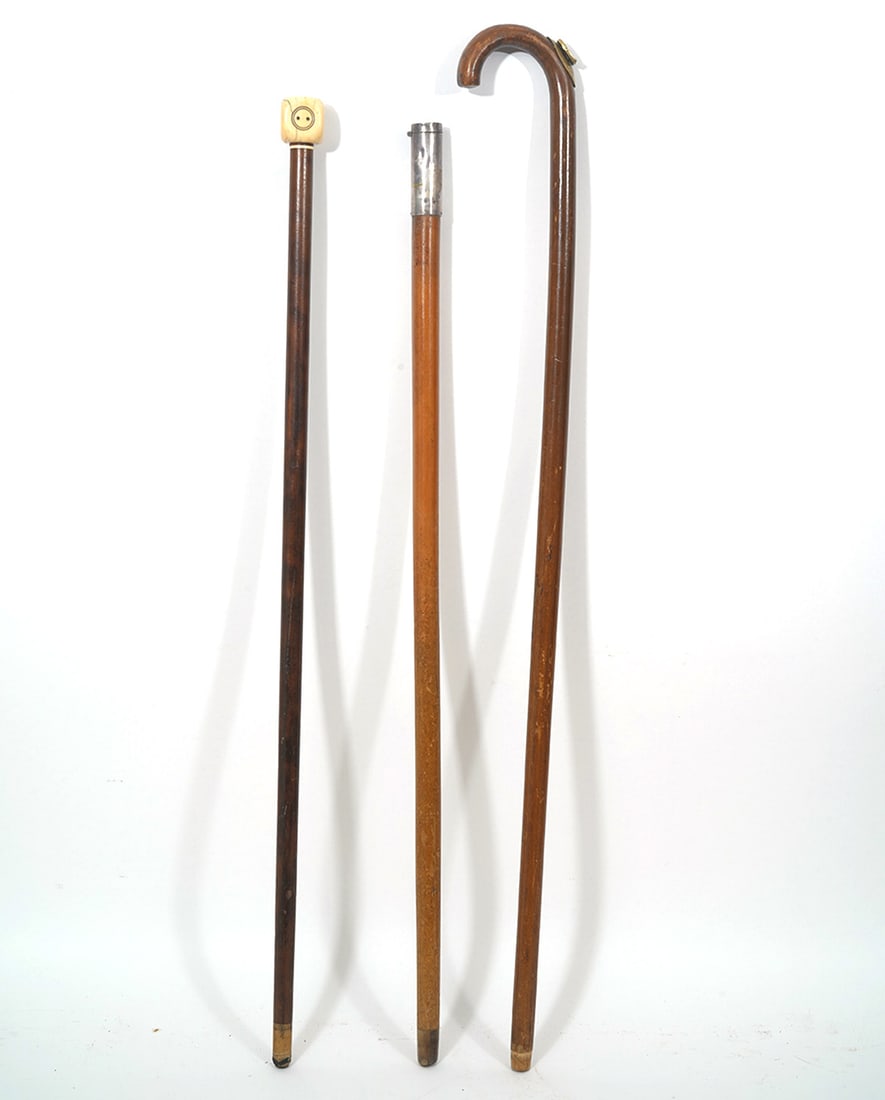Three Unique Canes or Walking Sticks (1 of 12)