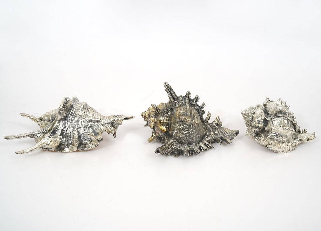 3 Italian Silvered Sea Shells (1 of 7)