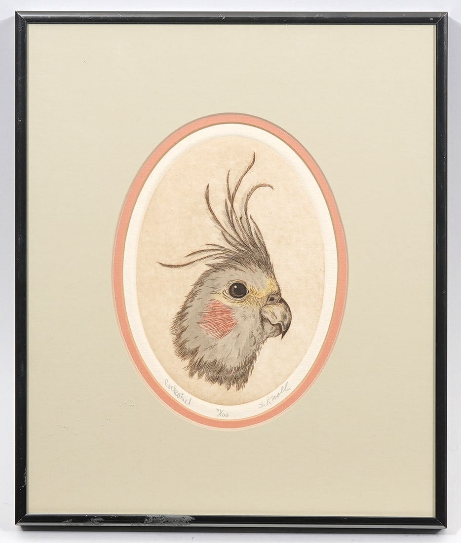 S. Knoll "Cockatiel" Lithograph Signed Numbered: S. Knoll "Cockatiel" lithograph titled, numbered and signed in pencil. Measurements: 12"H x 10.5"W. Condition report: Good condition, please examine all photos closely. Contact C. Biddle Auction Galle