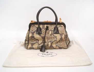 Prada Milano Python Doctor Bag with COA