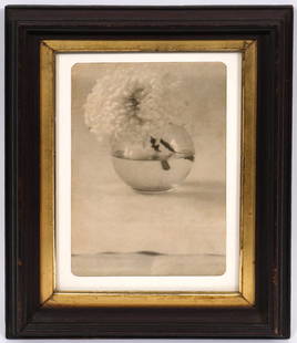 Jefferson Hayman Still Life Framed Photograph: Jefferson Hayman, American (Born 1969). Creator of timeless photography, on verso 'Flower' 2/25. Mounted in a dark wood frame with inner gilt frame. Measures 13.5"H x 10.5"W framed; 8 5/8"H x 5 5/8"W