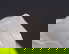 item-209057740=3
