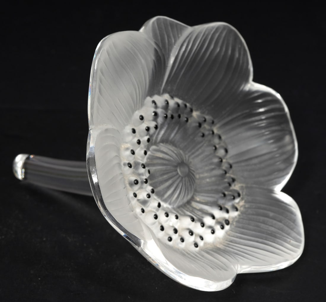 Lalique Crystal Anenome Flower: Lalique crystal anenome flower with satin crystal petals and polished crystal stem signed 'Lalique France'. Anenome is accented with enameled black stamens. Measures 4.25"W x 4.25"L. Condition report: