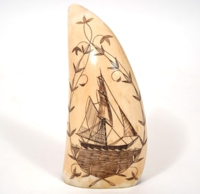 Robert Spring Nautical Scrimshaw Tooth