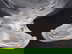 item-209057796=4