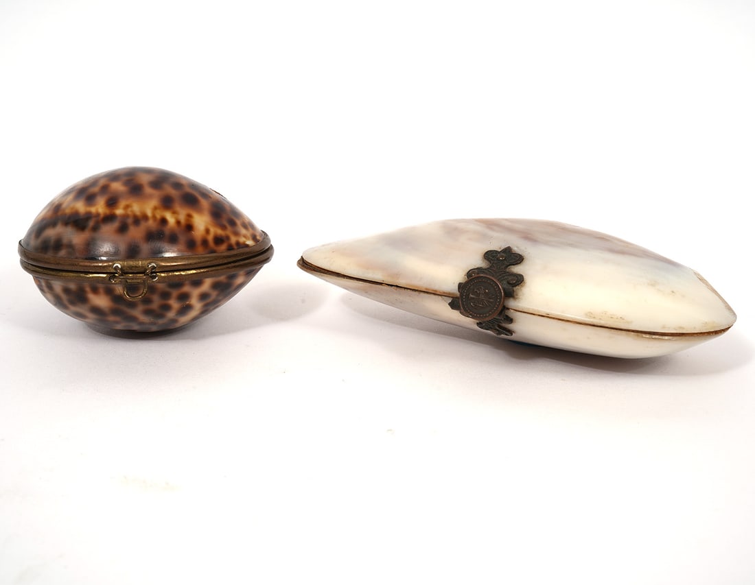 A Natural Shell Trinket Box & Shell Coin Purse (1 of 11)
