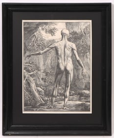 Albinus Wanderlaar Anatomical Engraving Framed