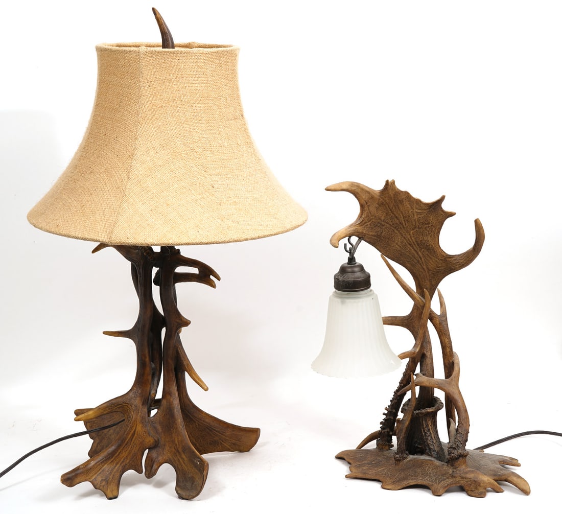 Two Natural Antler Lamps (1 of 9)