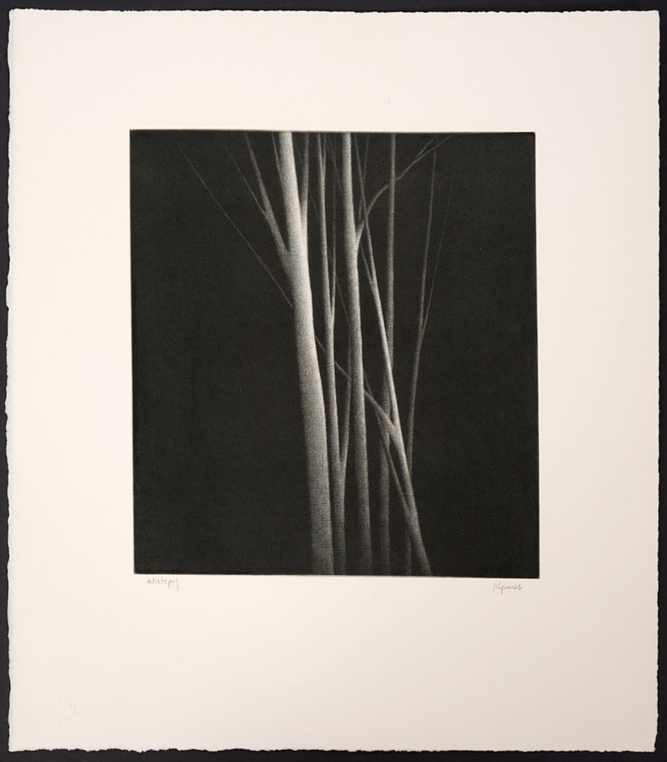 Robert Kipniss 'Forest Nocturne' Mezzotint (1 of 4)
