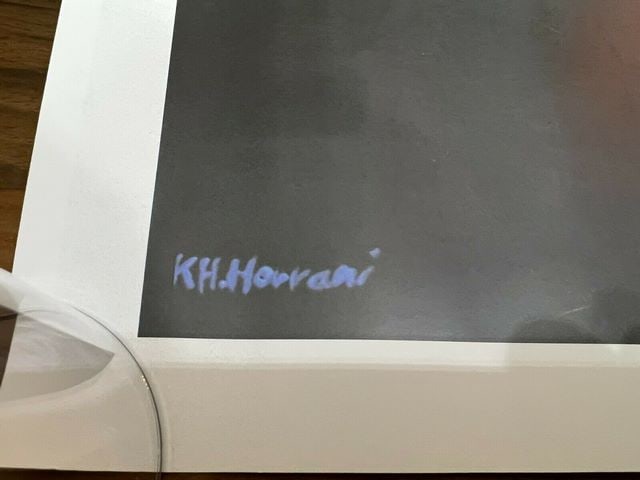 The Walled Off Hotel Gallery- ZEBRA poster by Khaled Hourani - 3